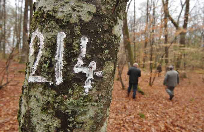 Quand la complexité de la forêt s’apprend sur le terrain (crédit photo: Pascal Charoy)