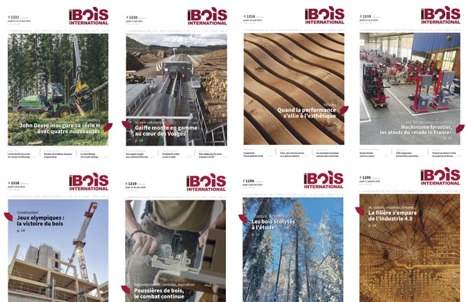 Échantillons de premières de couverture du Bois international. Reproduit avec l’autorisation de Téma