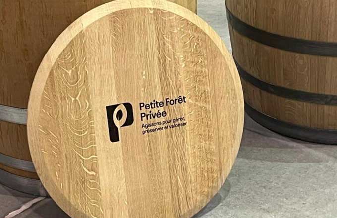 Grand Est: une alliance pour la petite forêt privée