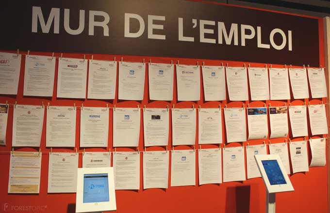 Recrutement: comment trouver les perles rares de la filière bois