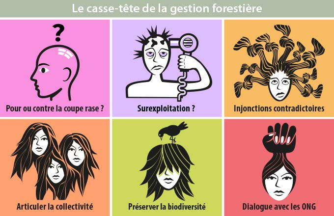 Y aurait-il d’étonnantes correspondances entre les enjeux de la gestion forestière et ceux de la gestion capillaire? Pictogrammes retravaillés pour Forestopic et issus d’une étude de DCAP Research sur le rapport des Françaises à leurs cheveux illustrant leurs principales préoccupations (crédit: DCAP Research)
