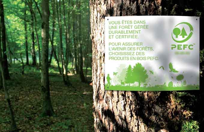 PEFC France révise son standard en intégrant des notions nouvelles pour la forêt