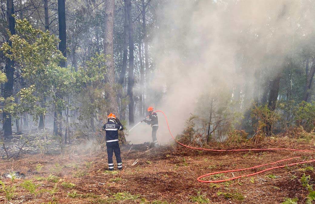 Formalités allégées et subventions à venir pour les coupes post-incendie dans le massif des Landes de Gascogne