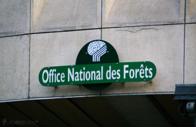 L’ONF a perdu près de 5 000 postes en 20 ans, selon les syndicats (crédit photo: CC/Forestopic)
