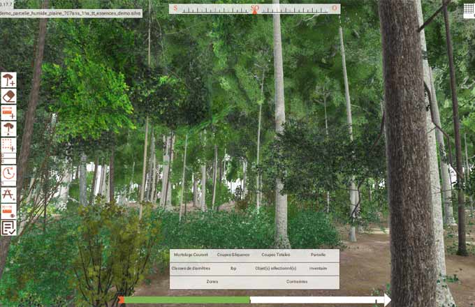 Silva Numerica développe sa forêt virtuelle pédagogique qui rétrécit le temps
