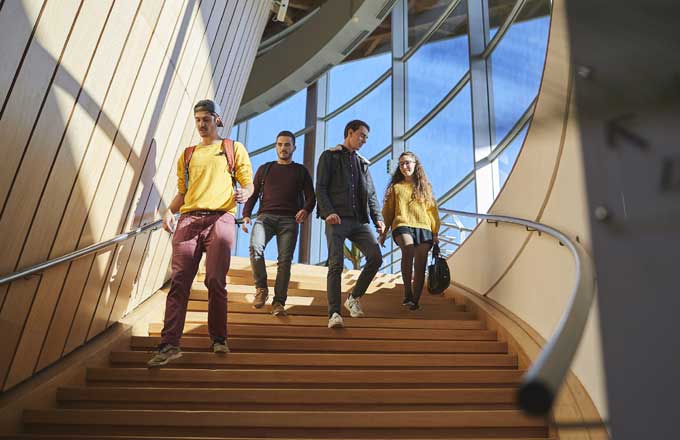 Des écoles peinent à attirer les étudiants, faut-il un vice-président formation pour la filière forêt-bois?