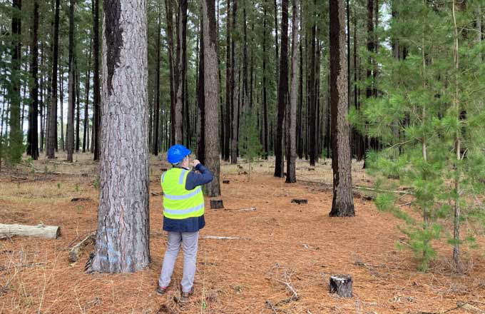 Après les feux de forêt, des liens se tissent entre la France et l’Australie