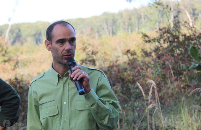 Aymeric Albert (crédit photo: CC/Forestopic)