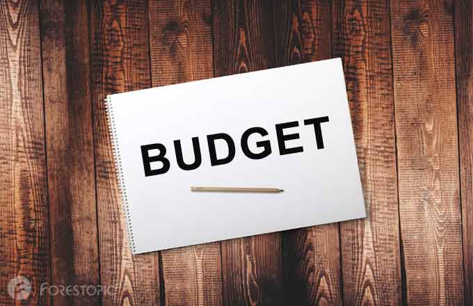 Le gouvernement vient de présenter son projet de budget pour 2027 (illustration Forestopic)