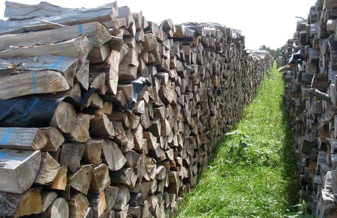 bois-buche-pile_de_bois_buche_Fibois_Alsace