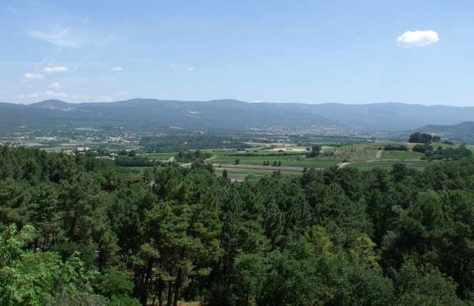 Foret-paysage